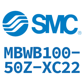 Standard cylinder-MBWB100-50Z-XC22