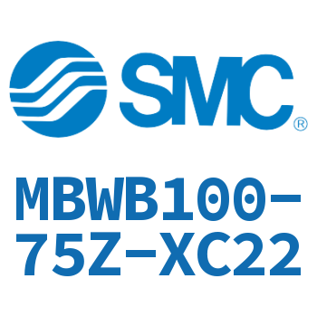 Standard cylinder-MBWB100-75Z-XC22