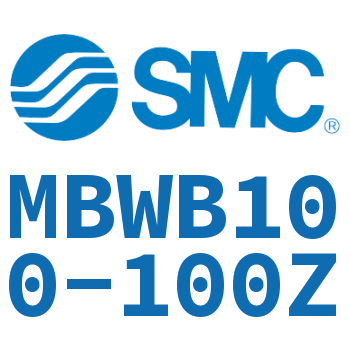 Standard cylinder-MBWB100-100Z