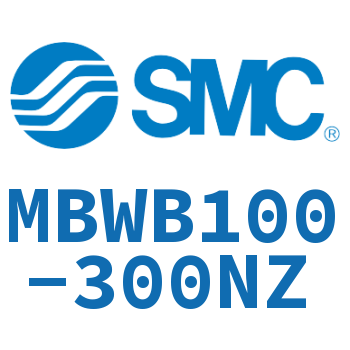 Standard cylinder MBWB100-300NZ