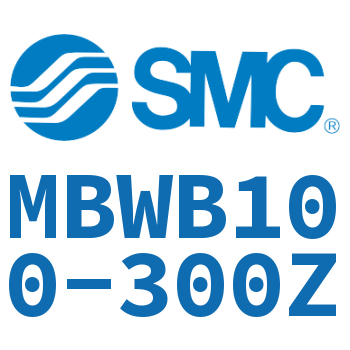 Standard cylinder-MBWB100-300Z