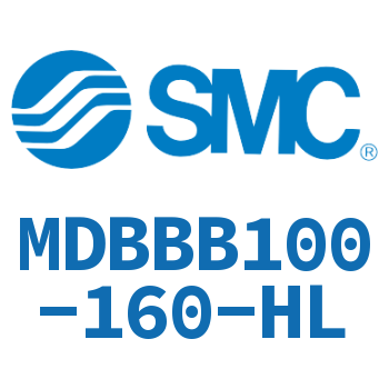 Standard cylinder-MDBBB100-160-HL