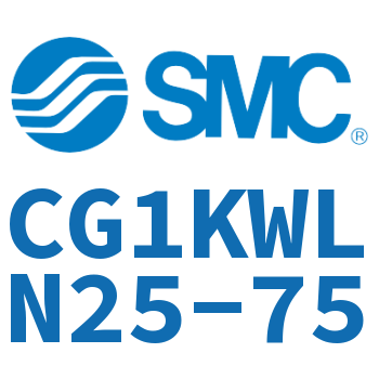 Axial foot type standard cylinder-CG1KWLN25-75