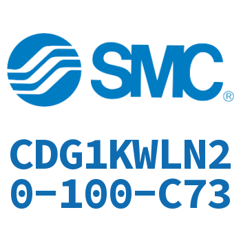 Axial foot type standard cylinder-CDG1KWLN20-100-C73