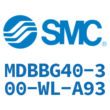 Rodless side flange type standard cylinder-MDBBG40-300-WL-A93