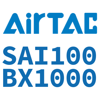 标准气缸 SAI100BX1000