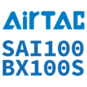 标准气缸 SAI100BX100S