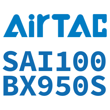 标准气缸 SAI100BX950S