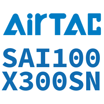 标准气缸 SAI100X300SN