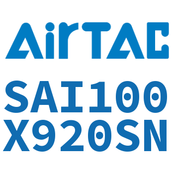 标准气缸 SAI100X920SN