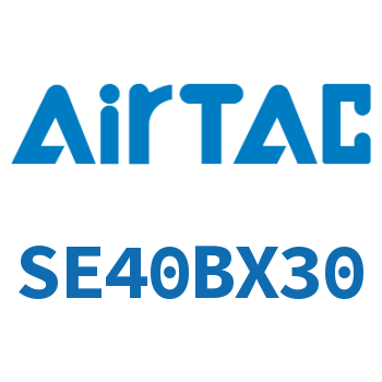 标准气缸 SE40BX30