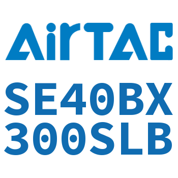 标准气缸 SE40BX300SLB