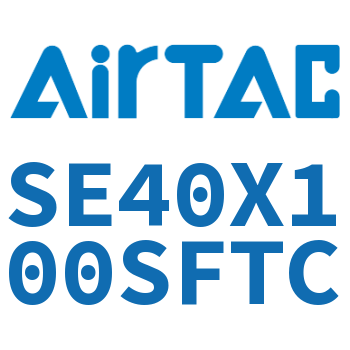 标准气缸 SE40X100SFTC