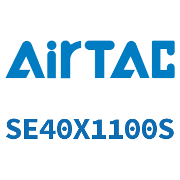 标准气缸 SE40X1100S