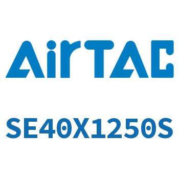 标准气缸 SE40X1250S