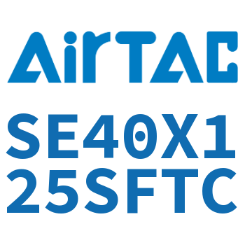 标准气缸 SE40X125SFTC