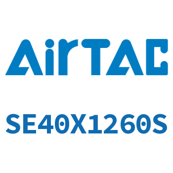 标准气缸 SE40X1260S
