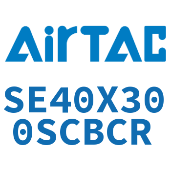 标准气缸 SE40X300SCBCR