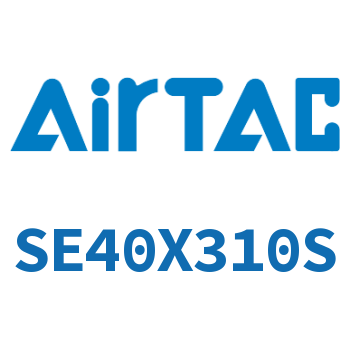 标准气缸 SE40X310S
