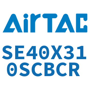 标准气缸 SE40X310SCBCR