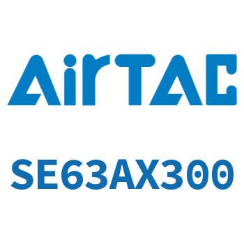 标准气缸 SE63AX300