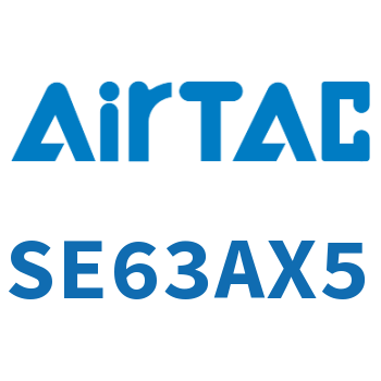 标准气缸 SE63AX5