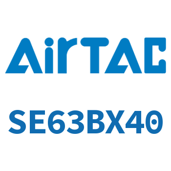 标准气缸 SE63BX40