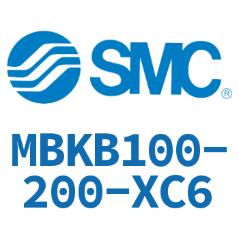 Standard cylinder-MBKB100-200-XC6