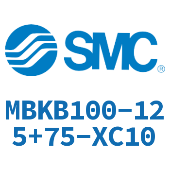 Standard cylinder-MBKB100-125+75-XC10