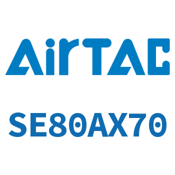 标准气缸 SE80AX70