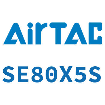 标准气缸 SE80X5S