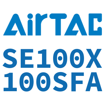 标准气缸 SE100X100SFA
