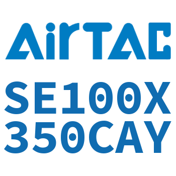 标准气缸 SE100X350CAY