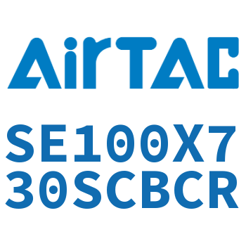 标准气缸 SE100X730SCBCR