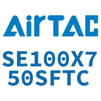 标准气缸 SE100X750SFTC