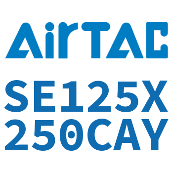 标准气缸 SE125X250CAY