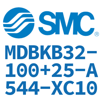 Standard cylinder-MDBKB32-100+25-A544-XC10