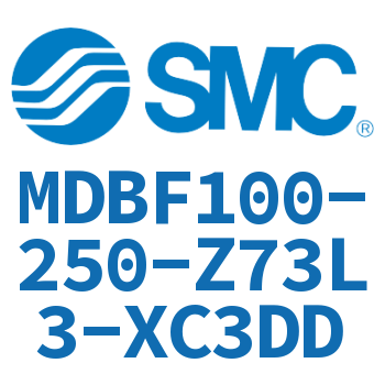 Rod side flanged standard cylinder-MDBF100-250-Z73L3-XC3DD