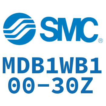 Square cylinder-MDB1WB100-30Z