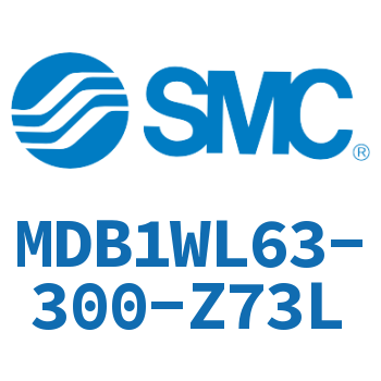 Axial pedestal type square cylinder-MDB1WL63-300-Z73L