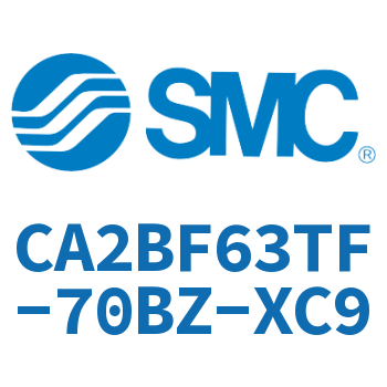 Standard cylinder-CA2BF63TF-70BZ-XC9