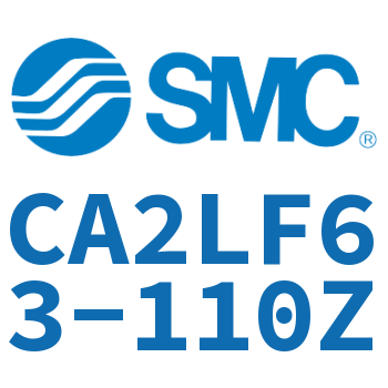 Axial pedestal type standard cylinder-CA2LF63-110Z