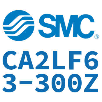 Axial pedestal type standard cylinder-CA2LF63-300Z