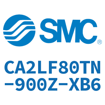 Axial pedestal type standard cylinder-CA2LF80TN-900Z-XB6