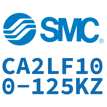 Axial pedestal type standard cylinder-CA2LF100-125KZ