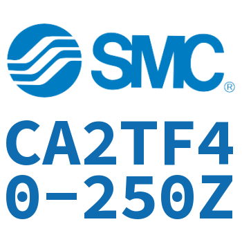 Middle trunnion type standard cylinder-CA2TF40-250Z