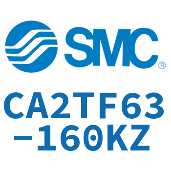 Middle trunnion type standard cylinder-CA2TF63-160KZ