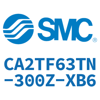 CA2TF63TN-300Z-XB6