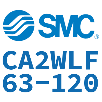 Axial pedestal type standard cylinder-CA2WLF63-120