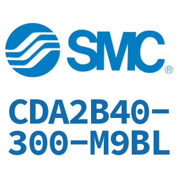 Standard cylinder-CDA2B40-300-M9BL